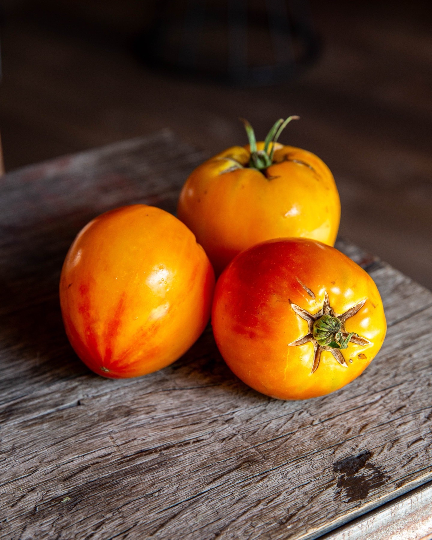 Tomates anciennes