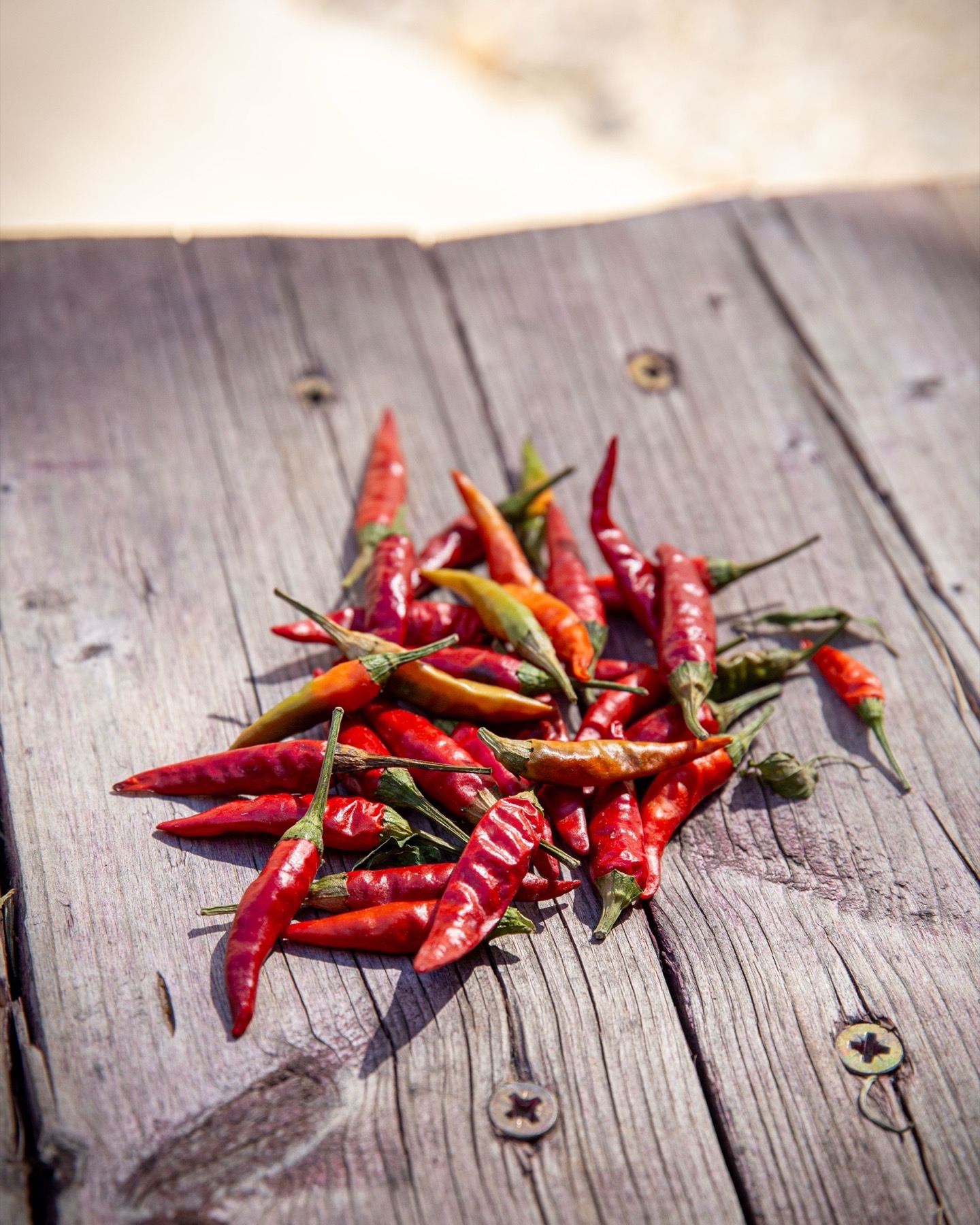 Piments d'oiseau