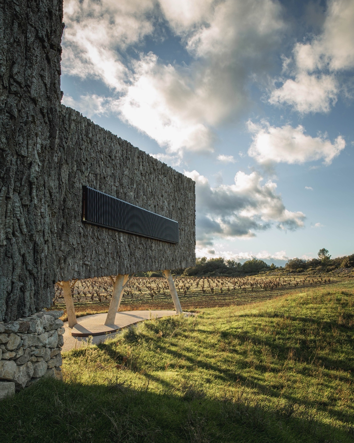 Un oeil sur le vignoble