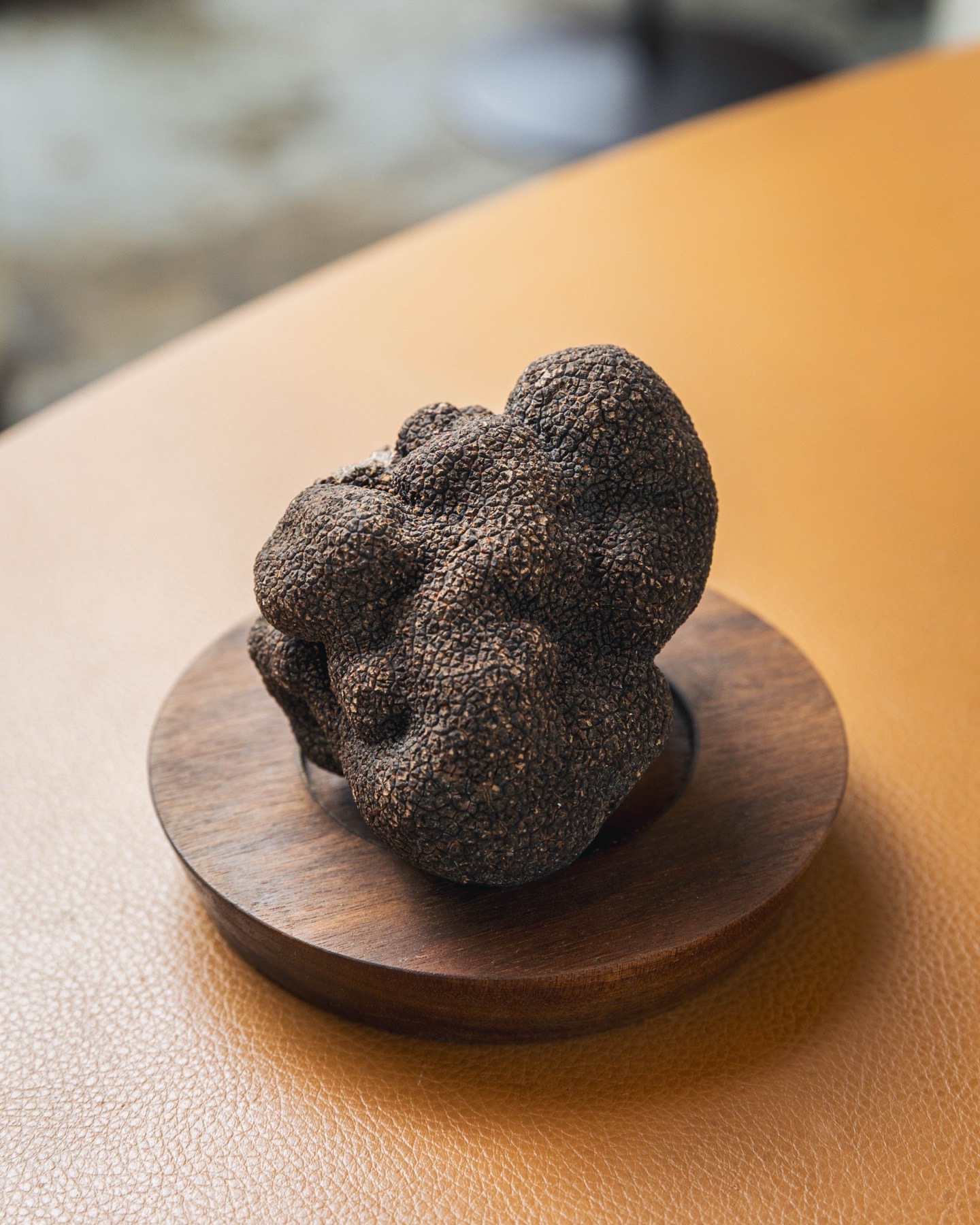 Truffe noire