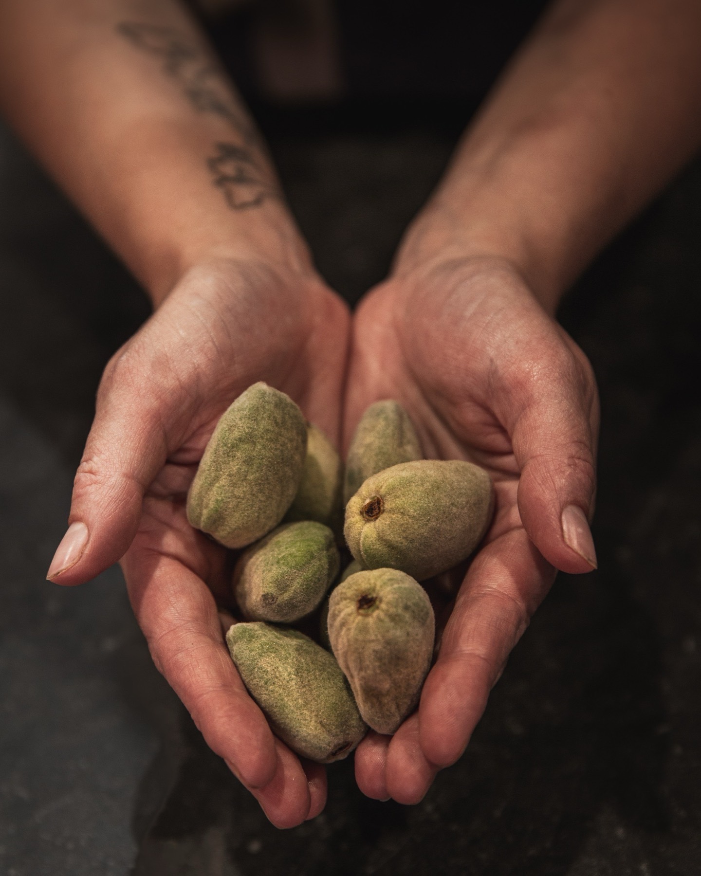 Amandes fraîches