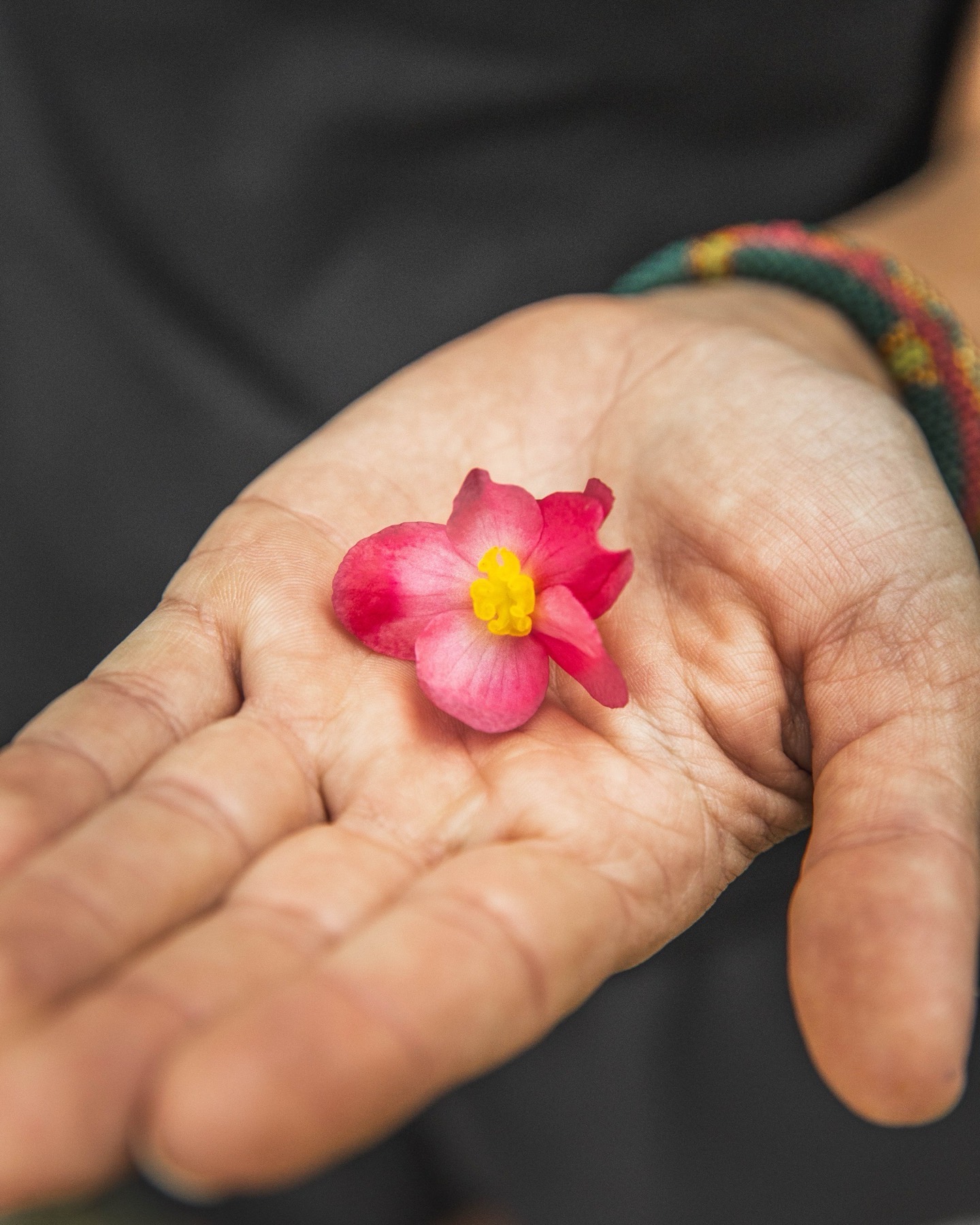 Fleur, au creux de la main