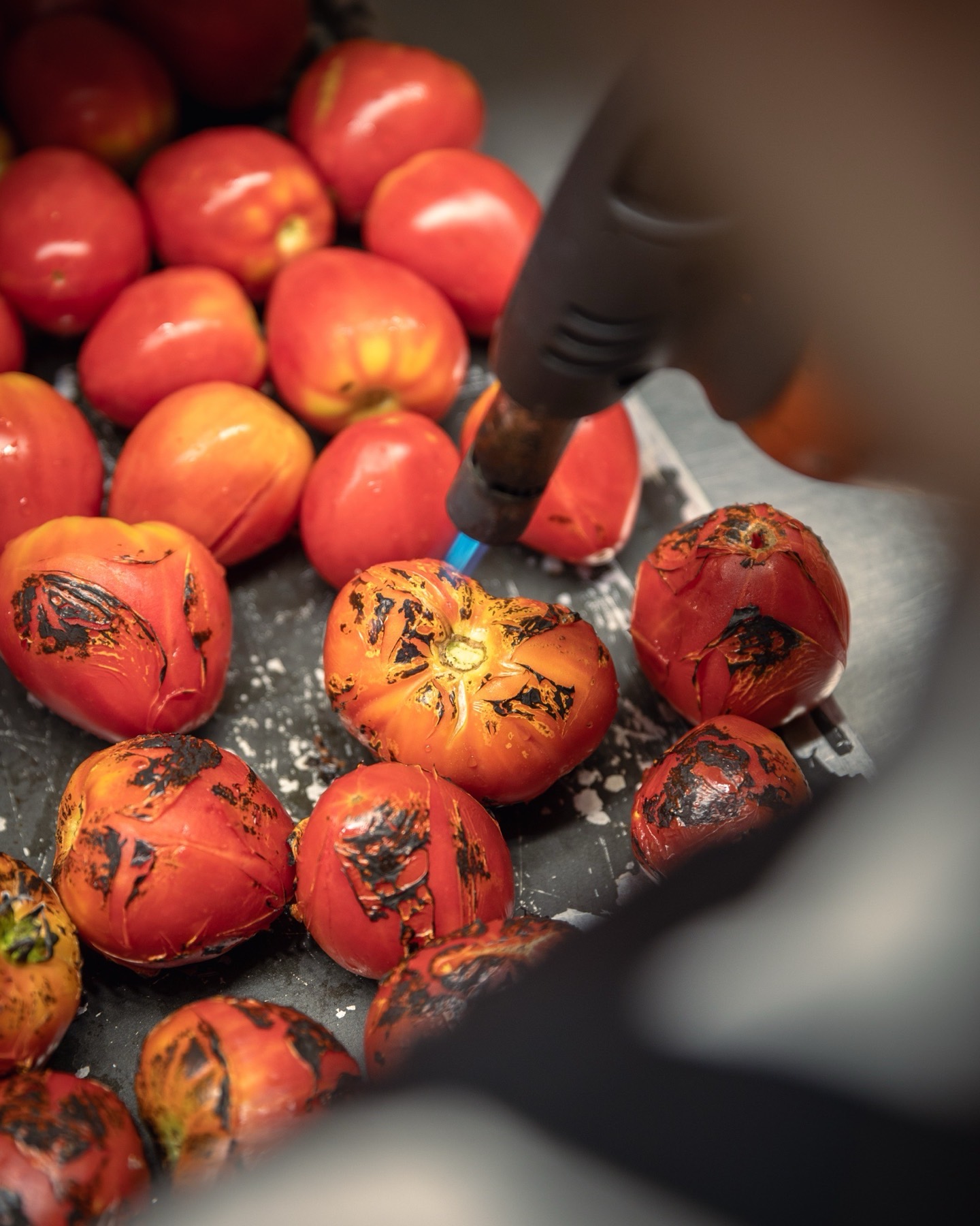 Tomates, à vif