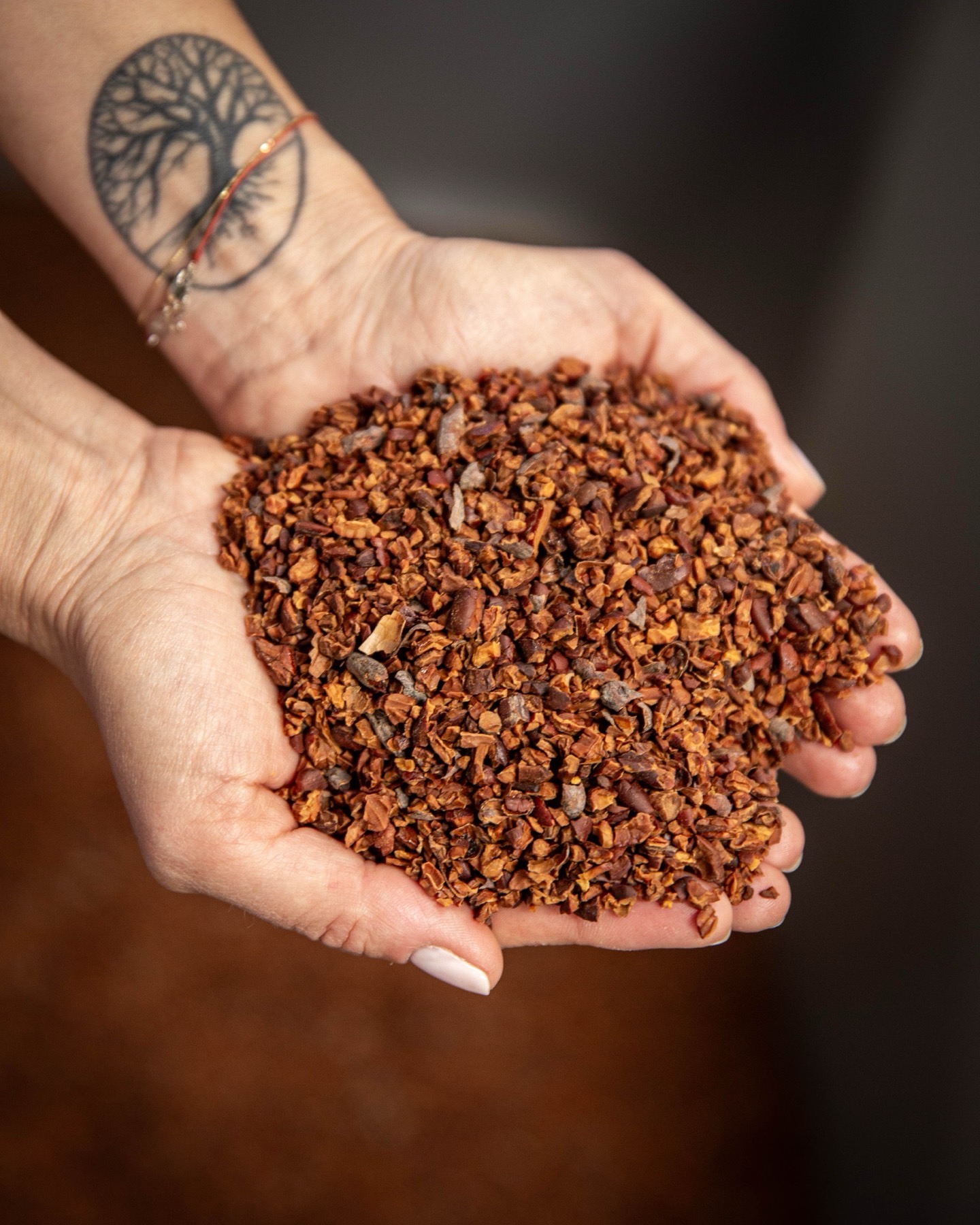 Fèves de cacao concassées